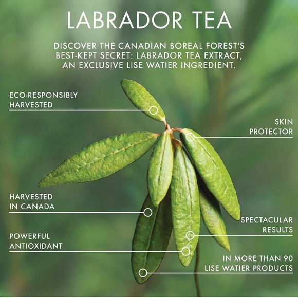 Rouge Fondant Suprême Reese - Lise Watier - Picture 2 of 10